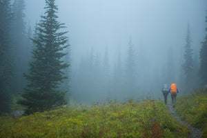 Open image in slideshow, Hiking to Marmot Pass in the Olympics, WA
