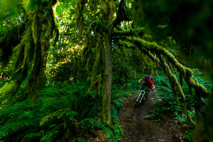 Open image in slideshow, KC Deane mountain biking in Bellingham WA
